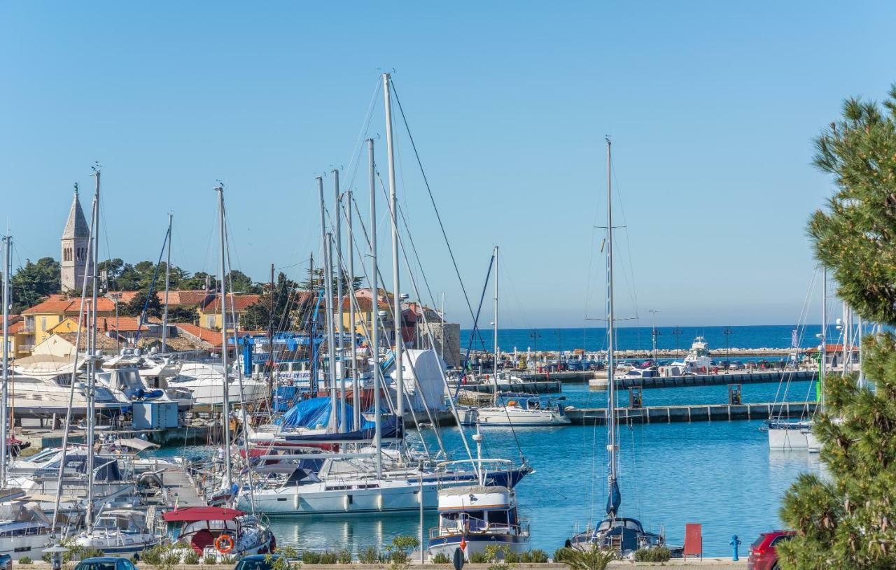 Luxury Apartments Novigrad Novigrad  Bagian luar foto