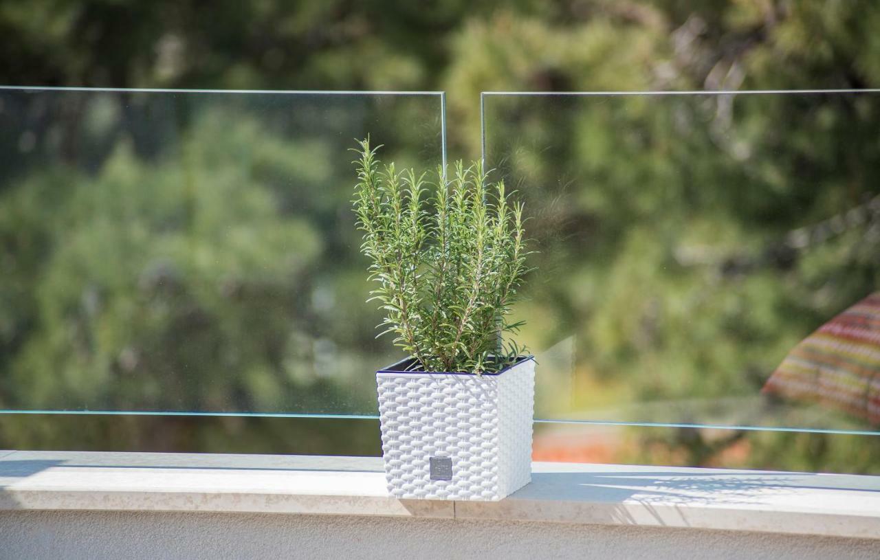 Luxury Apartments Novigrad Novigrad  Bagian luar foto